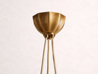 Agnes Chandelier
