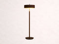 Anakin Floor Lamp 61-Inchh