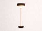 Anakin Floor Lamp 61-Inchh