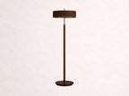 Anakin Floor Lamp 61-Inchh