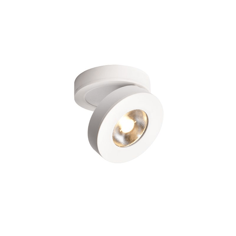 Round Rotating LED Downlight