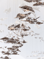 Galaxy Leaf Twisted Sculptural Meteor Shower Crystal Spiral Chandelier