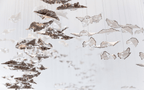 Galaxy Leaf Twisted Sculptural Meteor Shower Crystal Spiral Chandelier