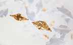 Galaxy Leaf Twisted Sculptural Meteor Shower Crystal Spiral Chandelier