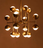 Seed Chandelier 29-Inchw