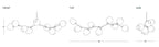 Modern Sputnik Smoky Gray / amber Glass Branch Chandelier for Kitchen Island / dining Room