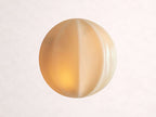 Agnes Clamshell Sconce