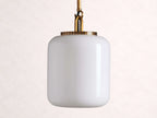 Wescott Xl Globe Pendant with Rod
