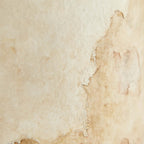 Samala Table Lamp 45208-671 detail view