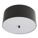 Tarbell Semi-Flush 49268 alternate product view