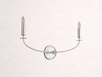 Arnett 2-Light Wall Sconce