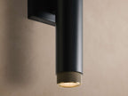 Spotlight Outdoor Sconce