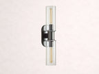 Harlin 2-Light Wall Sconce in Clear