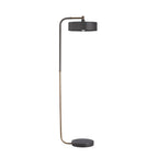 Aaron Floor Lamp 79813 product view