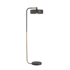 Aaron Floor Lamp 79813 product view