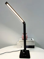 LED Desk Lamp with USB and Built-in Battery 13-inch