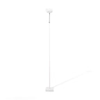 Ambient Floor Lamp