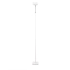 Ambient Floor Lamp