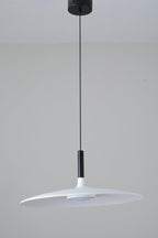 Aplomb Metal Pendant Lamp