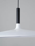 Aplomb Metal Pendant Lamp