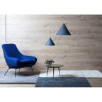 Benjamin Pendant Lamp