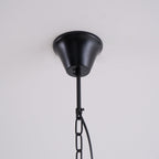 Braeden Pendant Light