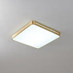Caelum Ceiling Light