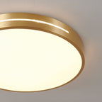 Caelum Ceiling Light
