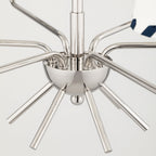 Cassie Chandelier