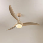 Traditional Ceiling Fan Light
