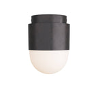 Allentown Flush Mount DFC06 product view