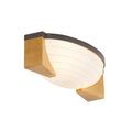 Hammonds Flush Mount DFC14 main product view