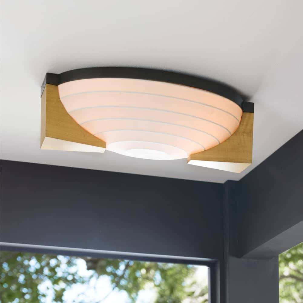Hammonds Flush Mount DFC14 room scene