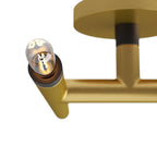 Ballard Flush Mount DFI03 detail view