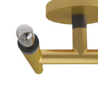 Ballard Flush Mount DFI03 detail view