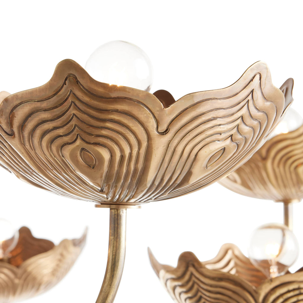 Encinitas Chandelier DLI06 detail view