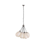 Wilkes Chandelier DMC02 main product view