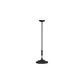 Bryson Pendant DPC11 alternate product view