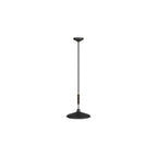 Bryson Pendant DPC11 alternate product view