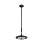 Bryson Pendant DPC11 alternate product view
