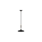 Bryson Pendant DPC11 product view