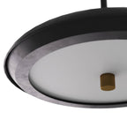 Bryson Pendant DPC11 detail view