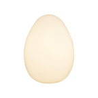 Modern Egg Table Lamp