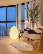 Modern Egg Table Lamp