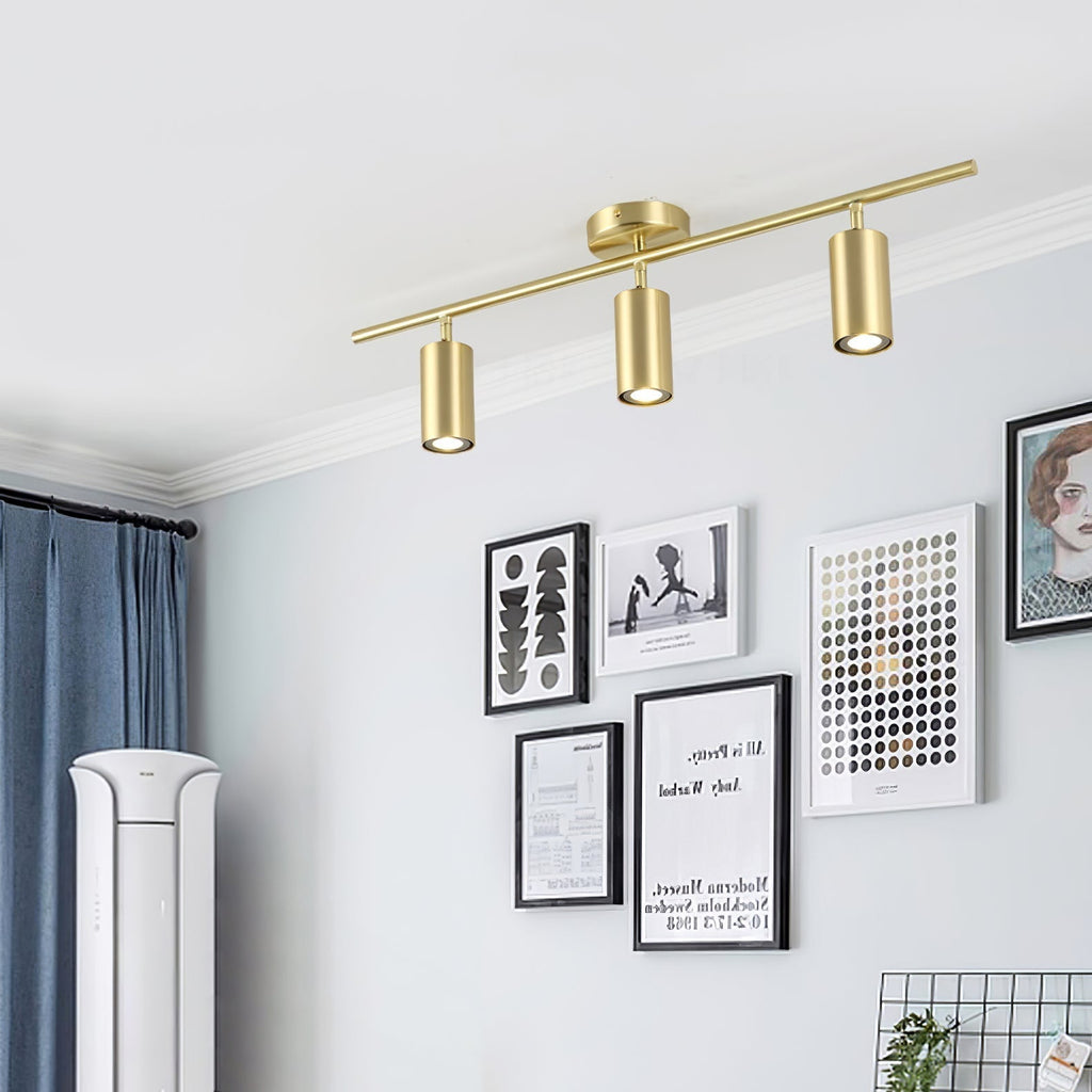 Evanna Ceiling Light