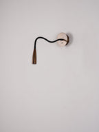 Flexi Hose Wall Light