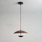 Frisbee Pendant Lamp