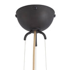 Chene Pendant GDDPI04 product image
