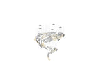 Galaxy Glass Feathers Flying Chandelier