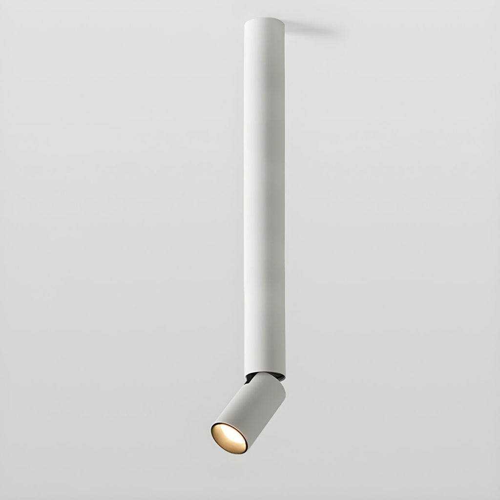 Julian Adjustable Surface Downlight